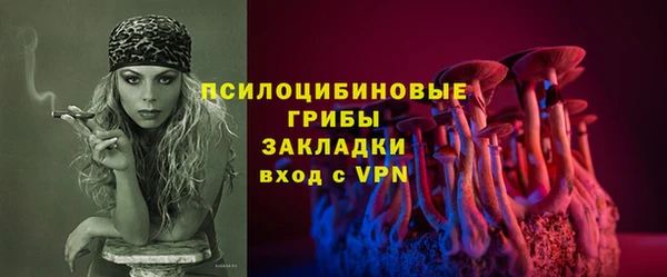 эйфоретик Алексин