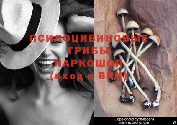 тгк Алексеевка