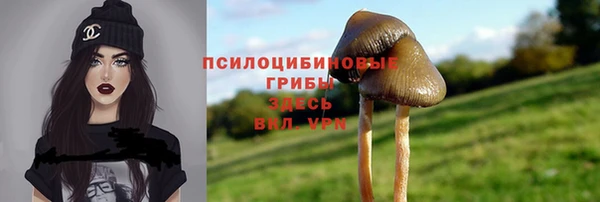 эйфоретик Алексин